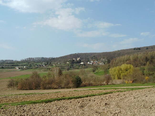 IMAG0041.JPG