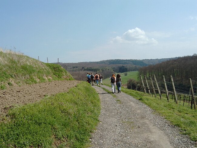 IMAG0033.JPG