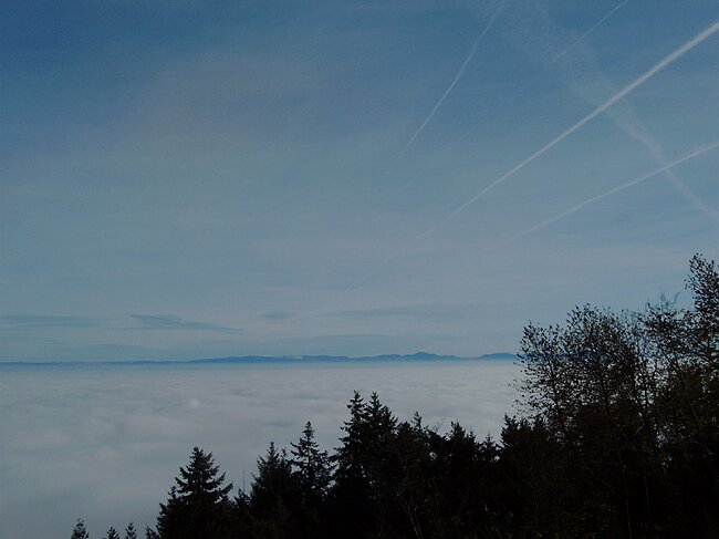 IMAG0009.JPG