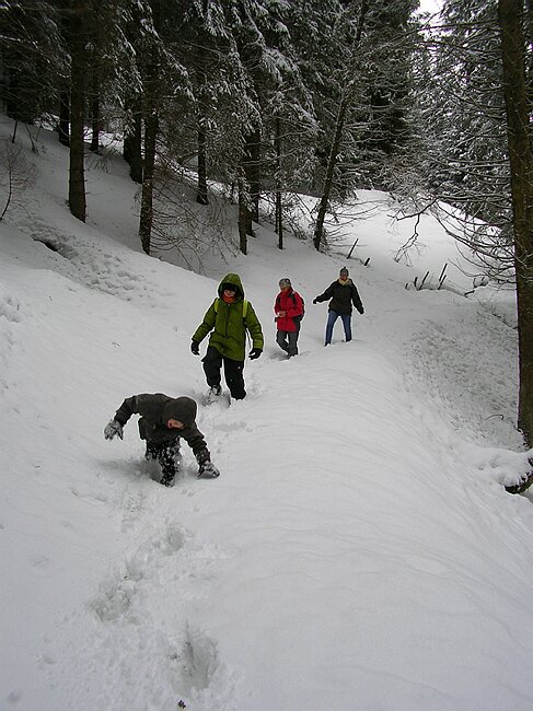 ravennaschlucht 035.jpg