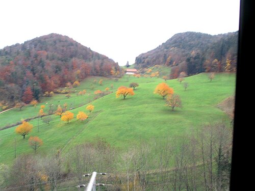107_0703.JPG