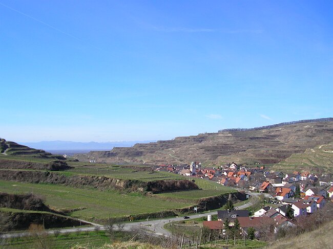 SANY4594.JPG