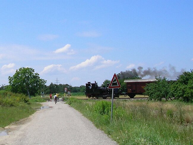 SANY6007.JPG