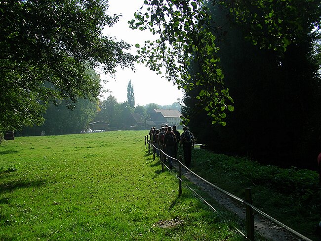SANY7348.JPG