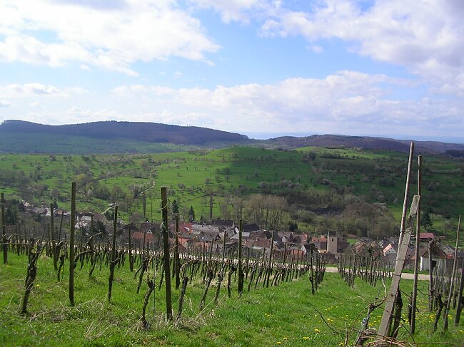 SANY8345.JPG