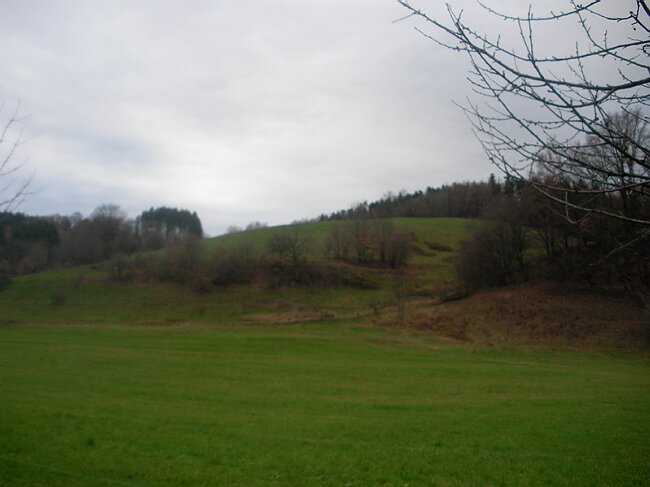 SANY4014.JPG
