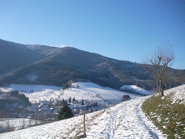 SANY4307.JPG