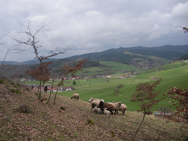 SANY4600.JPG