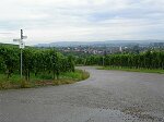 Radtour durch die Weinberge