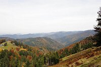 Schwarzwald im Herbst