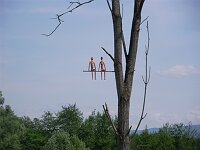 Baumkunst bei Bottingen