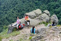 Rast an Vogesenfelsen