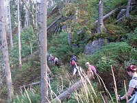 Alpiner Pfad am Feldberg