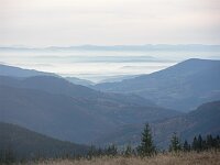 Alpensicht am Feldberg