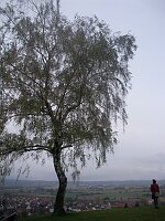 Auf dem Nimberg