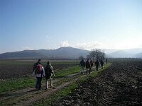 Castellberg Ballrechten-Dottingen