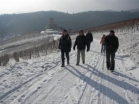 Winter im Vogesen-Vorland