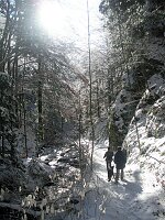 Gfäll und Wasserfall Richtung Rohrhardsberg