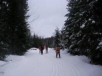 Langlauf Notschrei