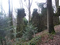 Burg Wiesneck