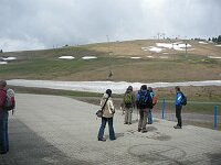 Feldberg