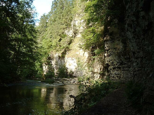 IMAG0026.JPG
