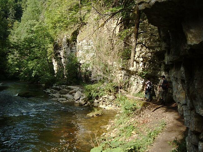 IMAG0028.JPG