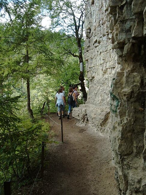 IMAG0008.JPG
