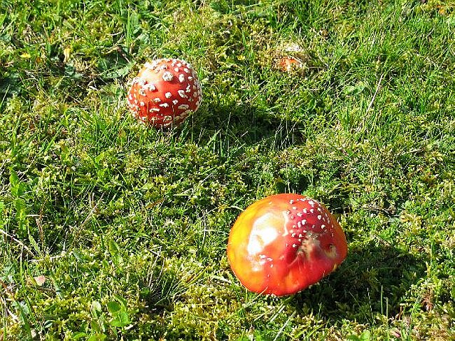 130_3055.JPG