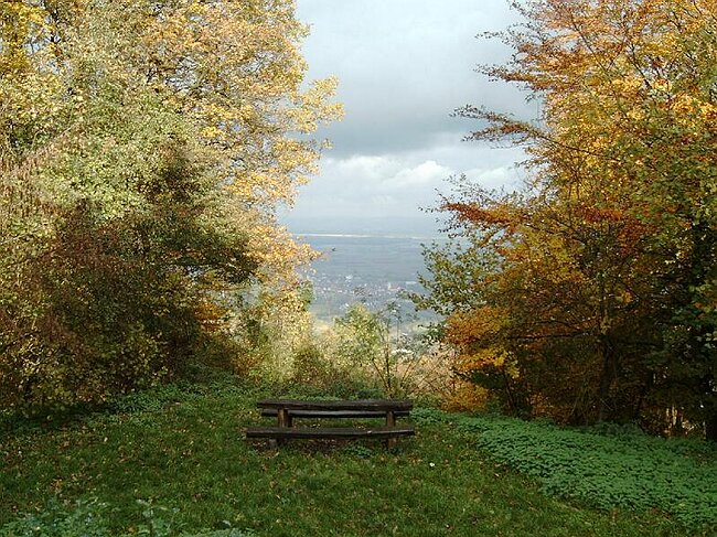 IMAG0011.JPG