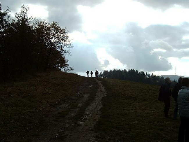 IMAG0013.JPG