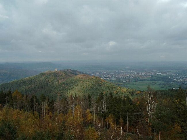 IMAG0010.JPG