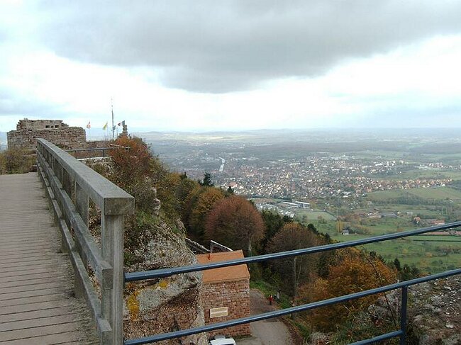 IMAG0003.JPG