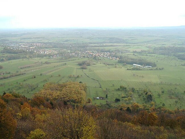 IMAG0005.JPG