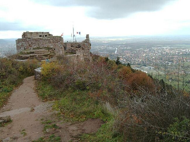 IMAG0006.JPG