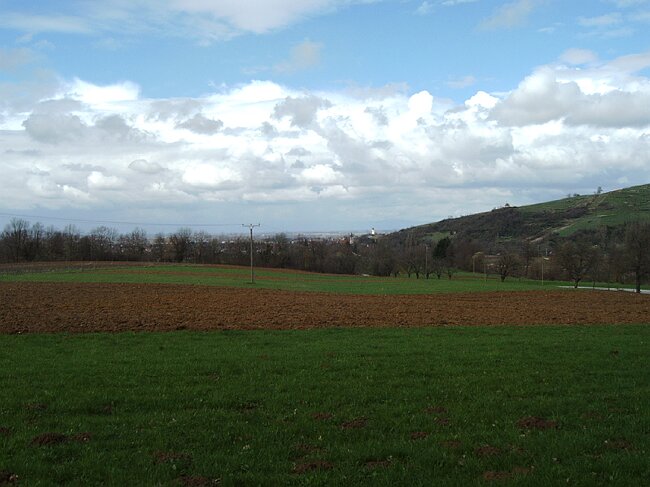 IMAG0013.JPG
