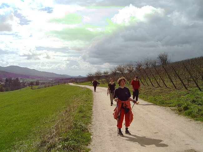 IMAG0015.JPG