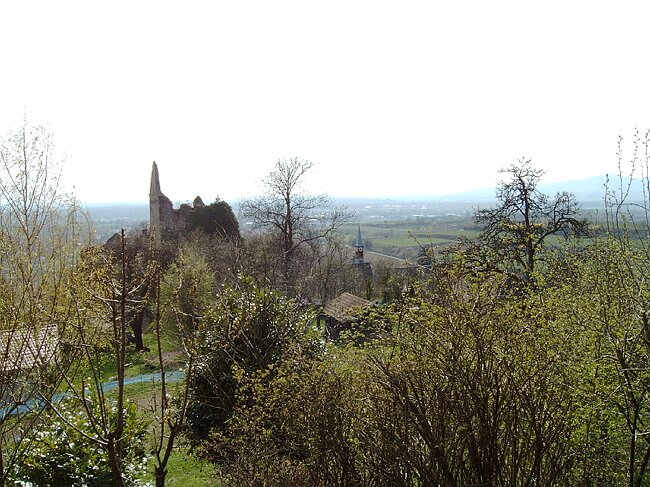IMAG0036.JPG