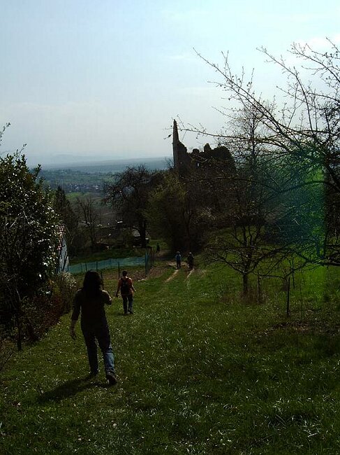 IMAG0037.JPG