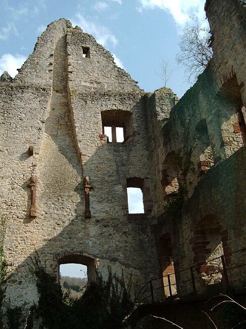 IMAG0040.JPG