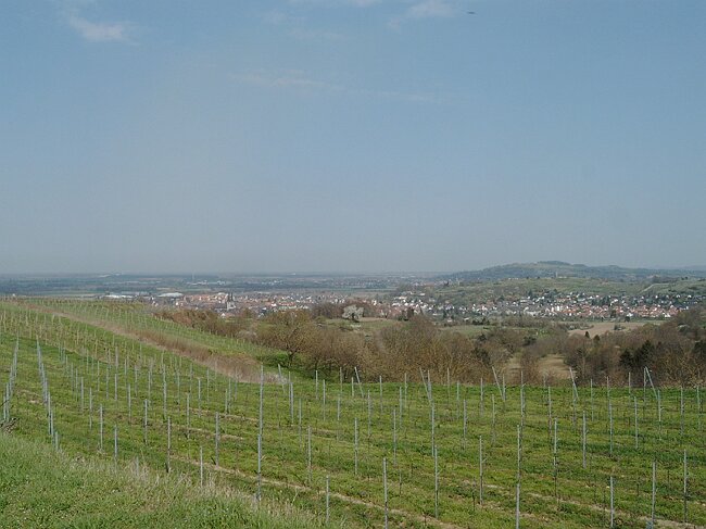 IMAG0029.JPG