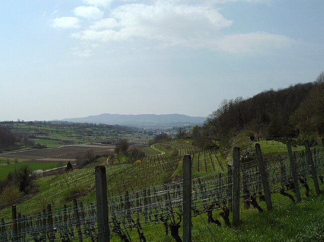 IMAG0032.JPG