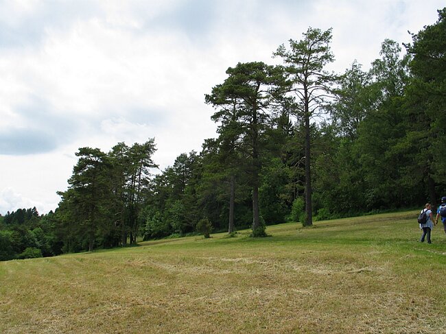 IMG_4618.JPG