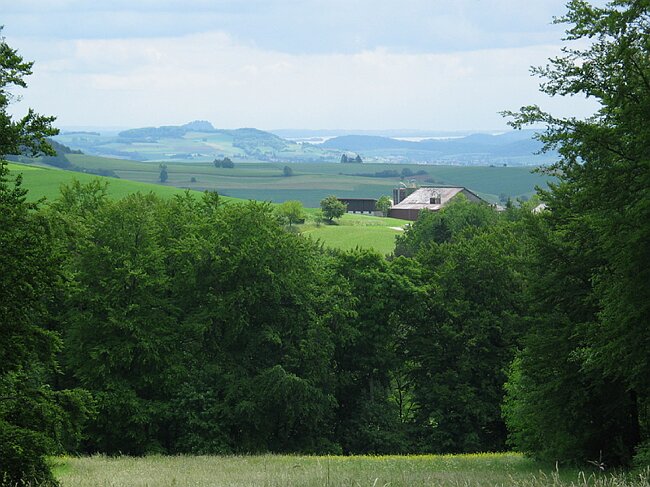 IMG_4595.JPG