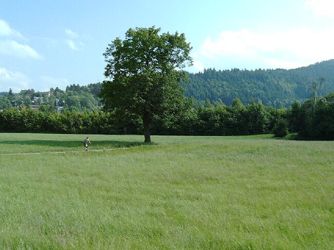 IMAG0036.JPG
