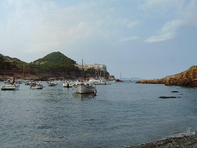 IMAG0019.JPG