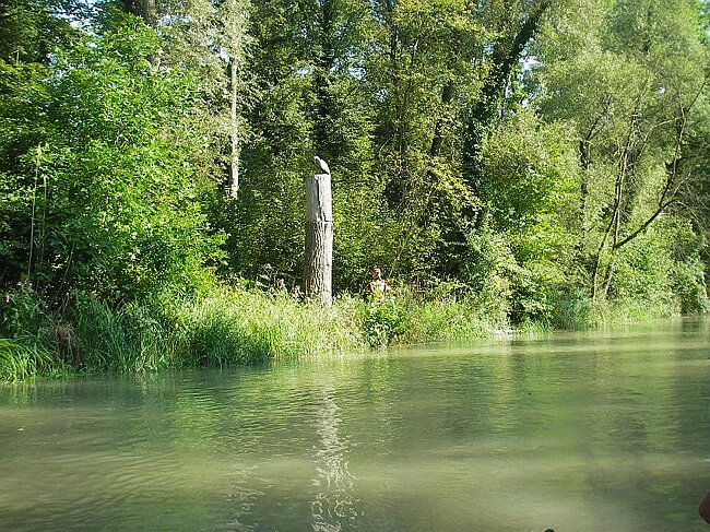IMGP0110.JPG