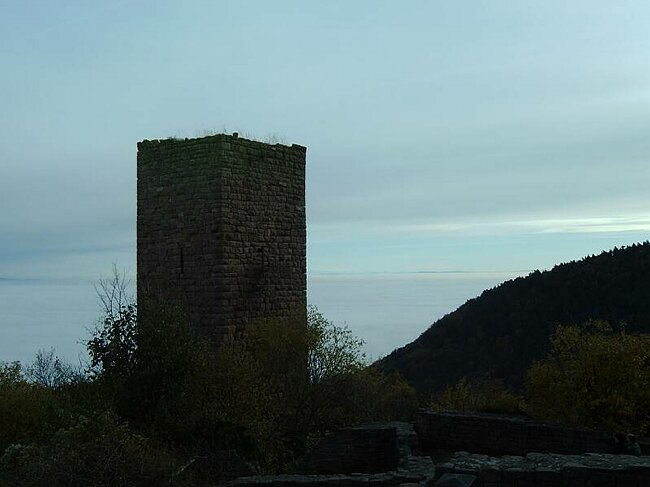 IMAG0015.JPG