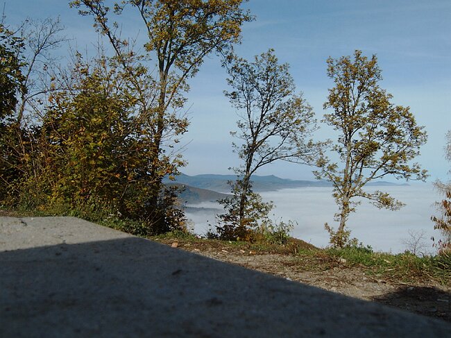 IMAG0003.JPG
