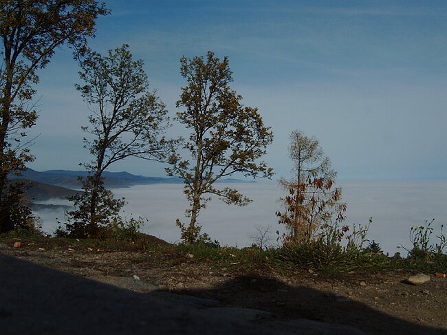 IMAG0004.JPG